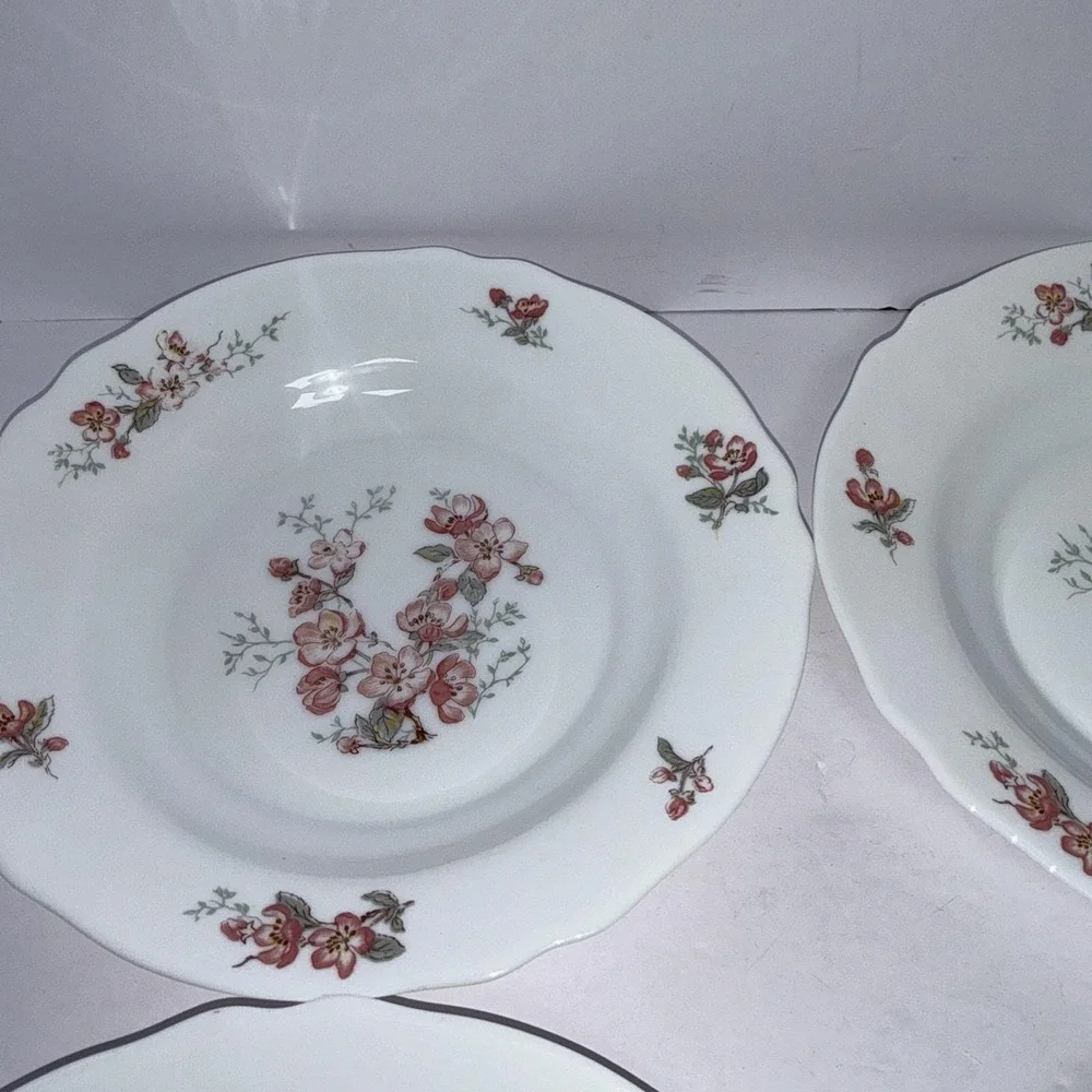 Vintage Set of 4 Arcopal France Pink Cherry Blossom 9